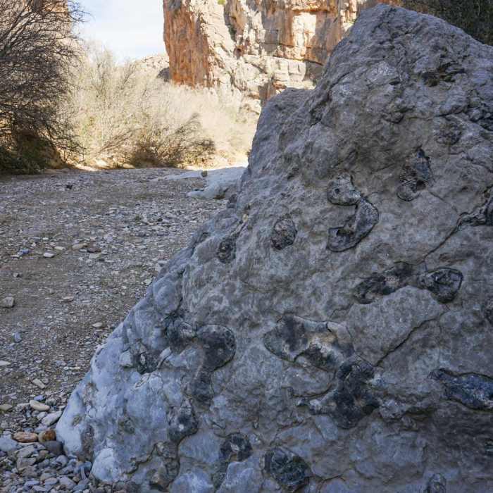 Near Dog Canyon Near Dog Canyon