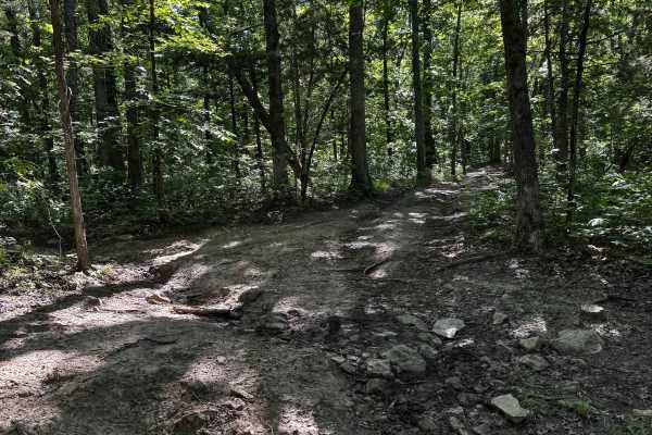 Inner Cut Thru 6