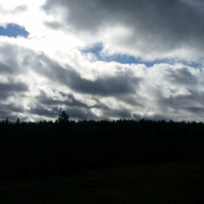 Near Trail 102 - South Trail Green Loop