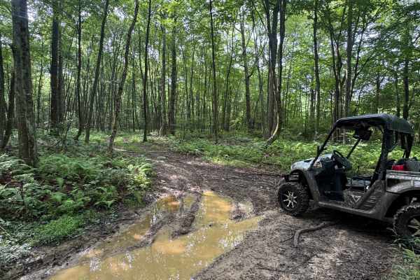 Trail 60