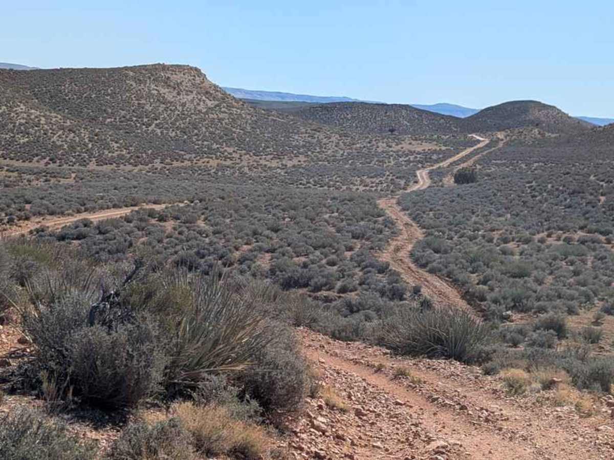 Swiss Canyon - BLM 2015-M2016 trail photo