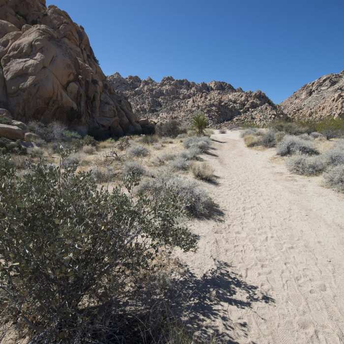 Near Indian Cove Nature Trail