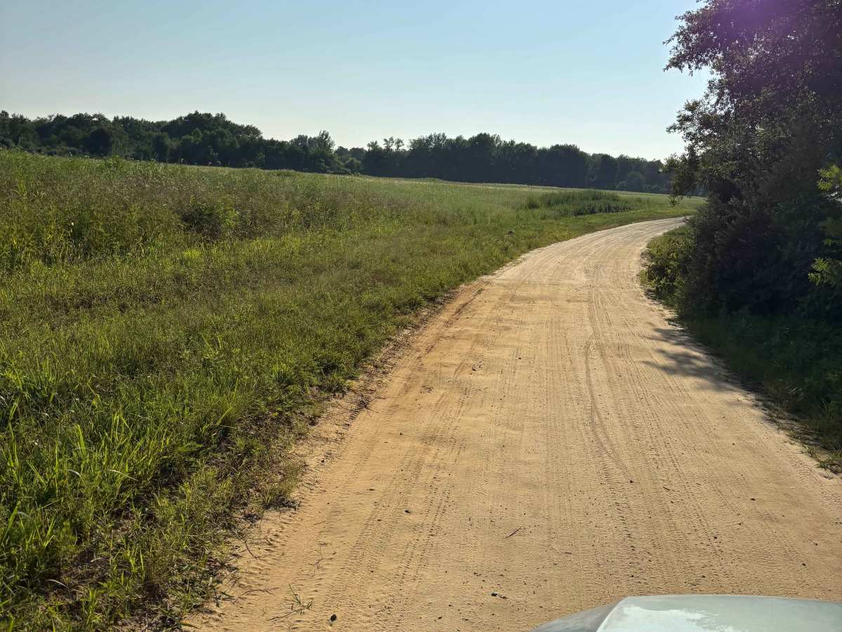 UTT Connector Trail photo 6