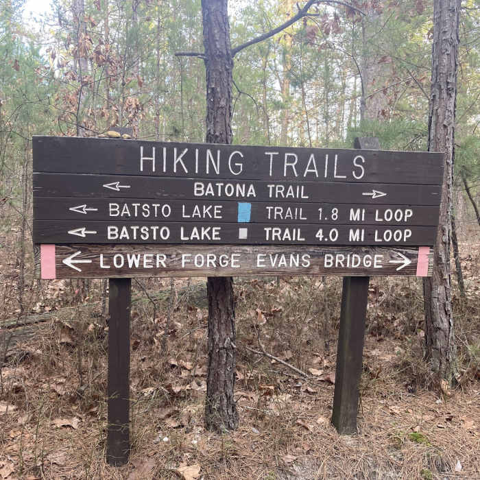 Hiking trails wood direction sign. Near Batsto White Trail