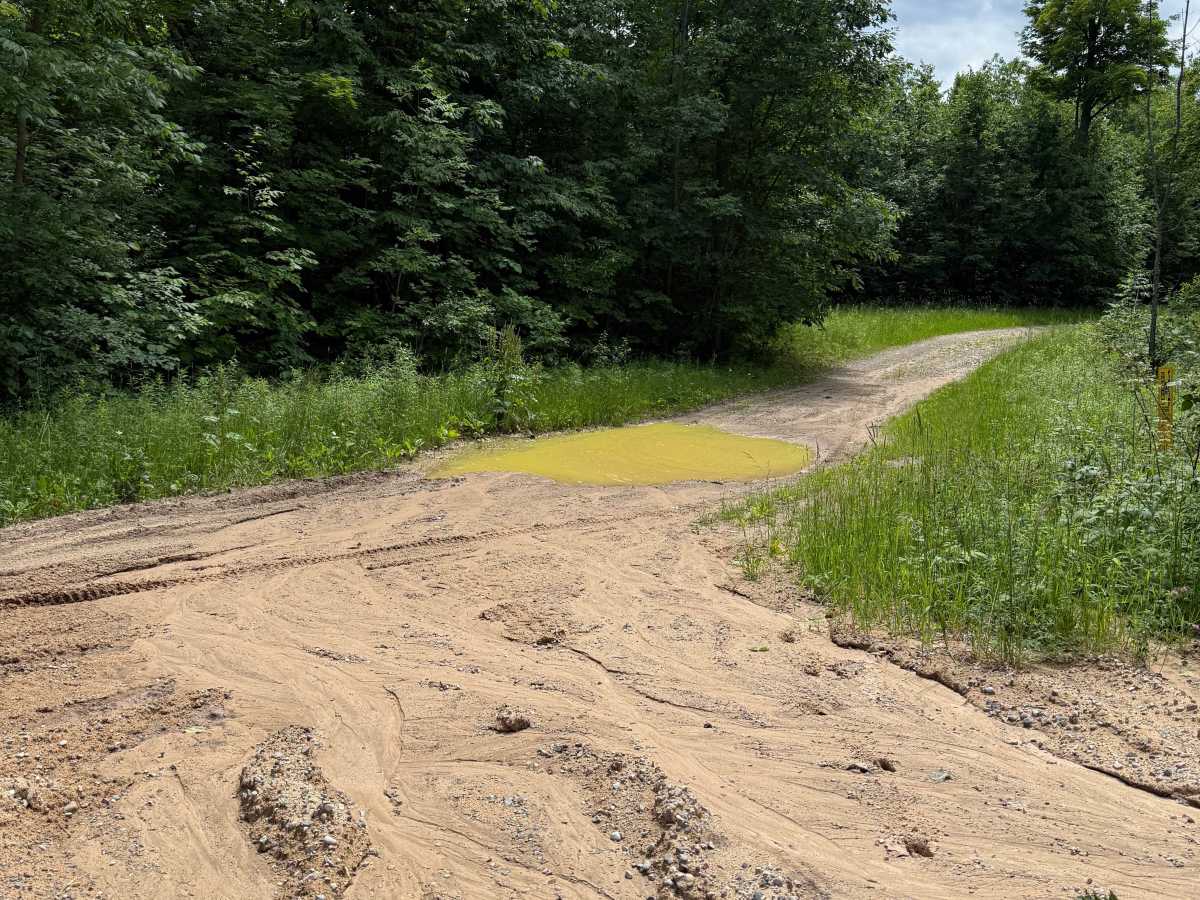 Cedar Run trail photo