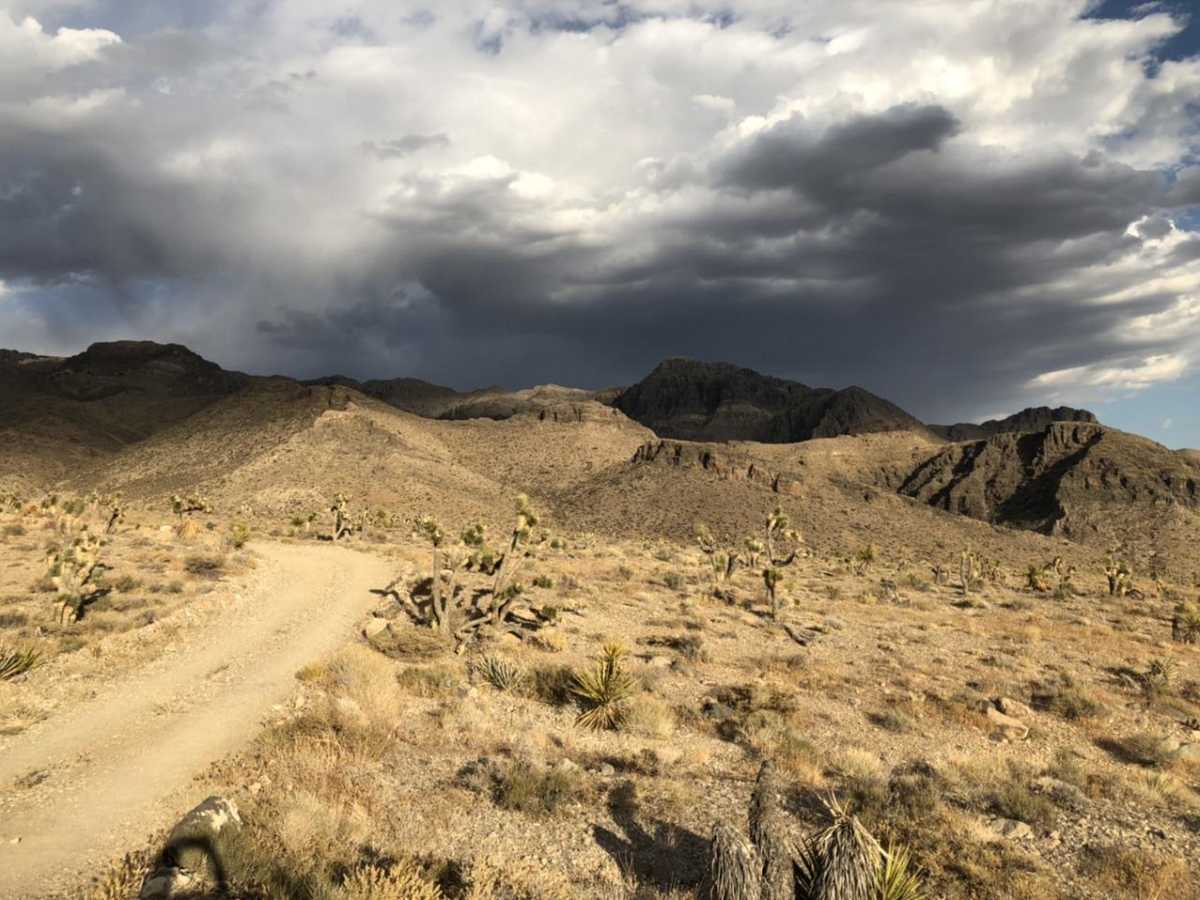 Joe May Road trail photo