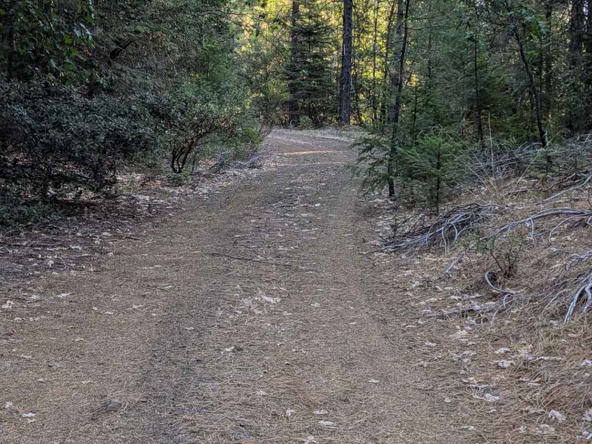 Post Road - FS 1N29 photo 4