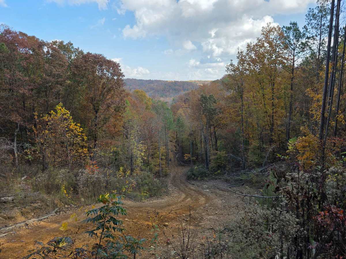 High Point Hill photo 3