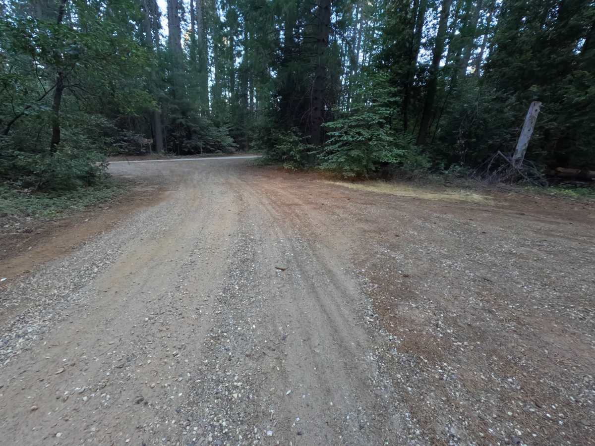 Grizzly Ridge - FS 37 photo 4