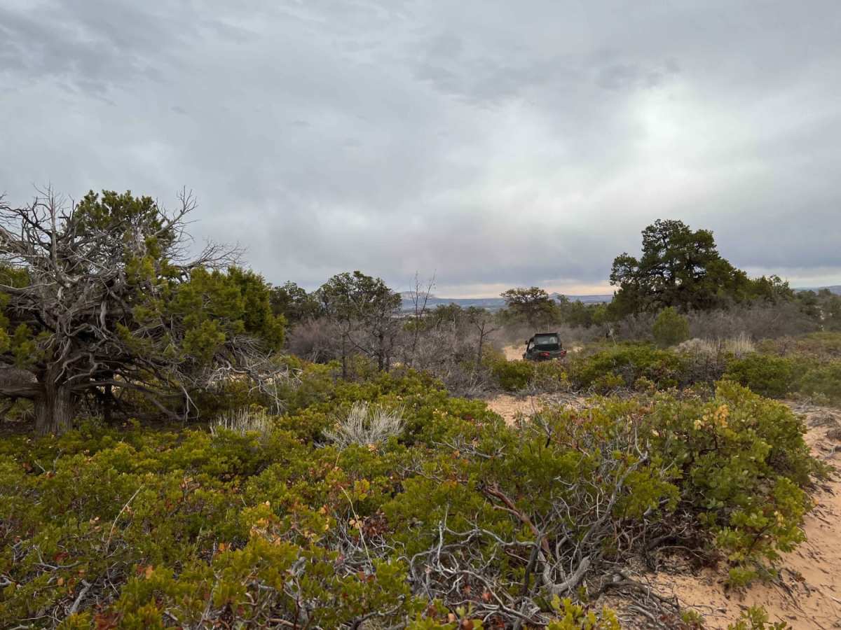 Poverty Gulch Overlook photo 5