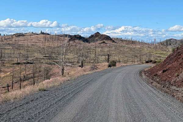 Medicine Lake Road - FS 44N75