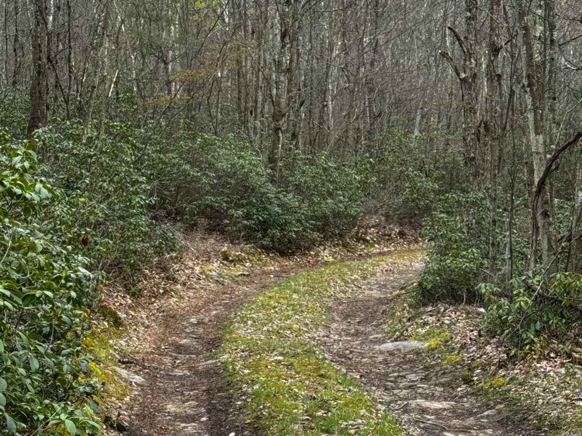 Sprout Springs Trail photo 4