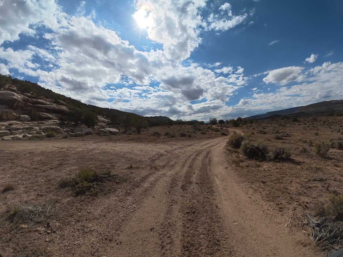 BLM 011 photo 4