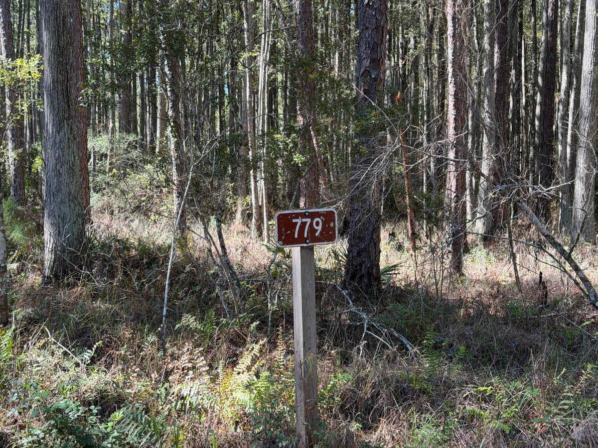 FS 779 trail photo