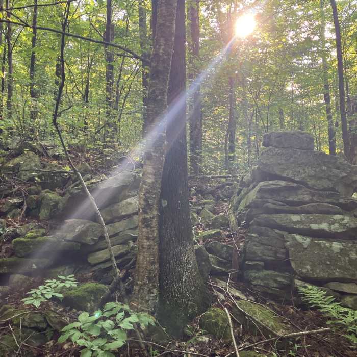 Near Stratton Mountain via Long Trail