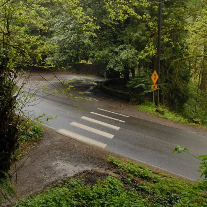 Near Pittock Mansion/Upper Macleay Trail