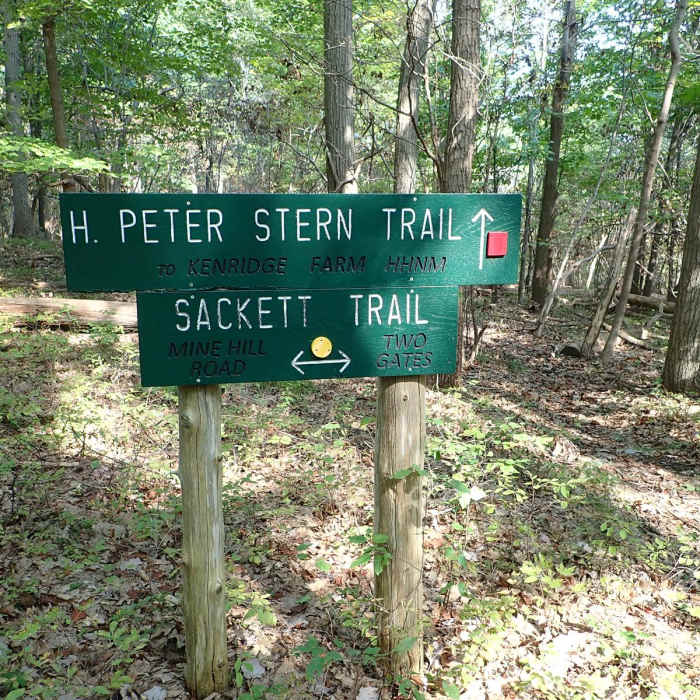 Near Sackett Ridge - Golden Ridge Loop