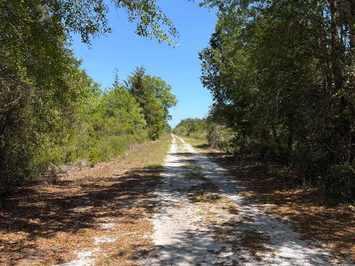 SFR 150 trail photo