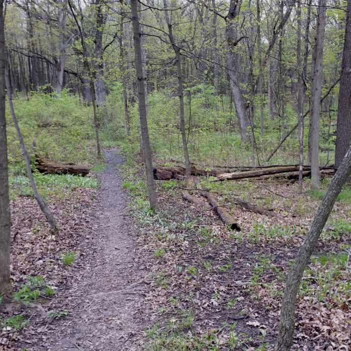 Near Nature Loop