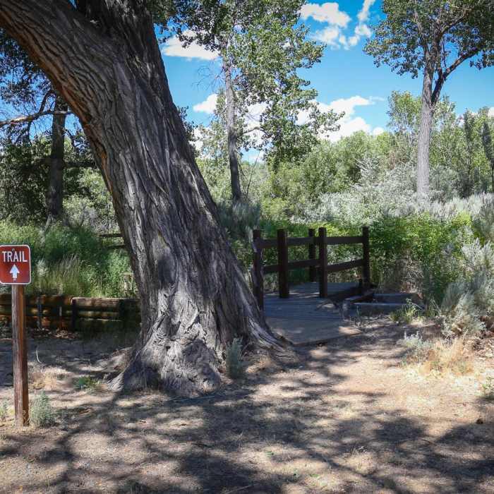 Near Carson River Trail