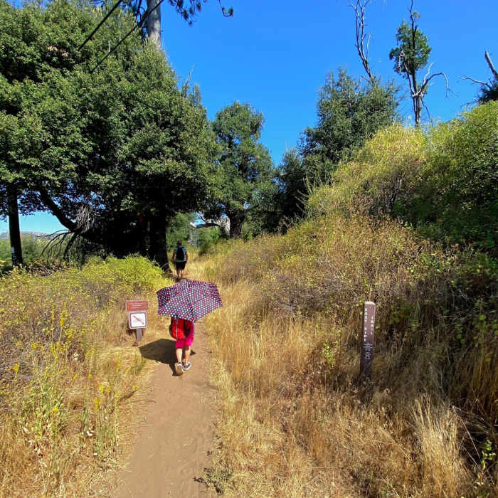 Start of the Eastside Trail Near Airplane Monument Loop