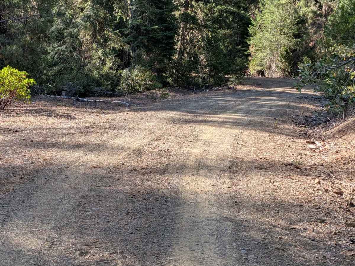 Rail Gulch Road - FS 2N11 photo 2