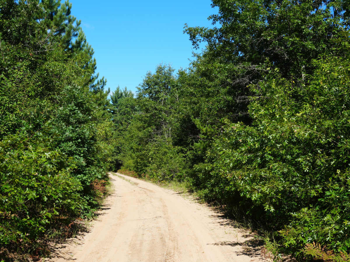 Tillman Road photo 5