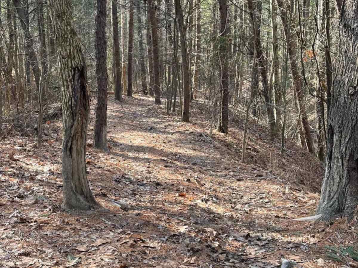 Redbird Trail 3 photo 4