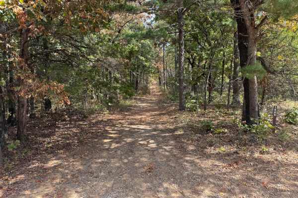 Rich Mountain Byway - FS 1663