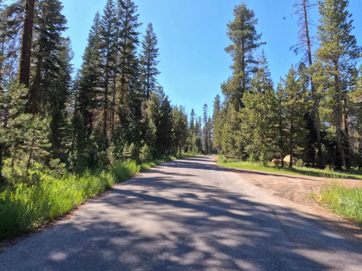 Wilson Meadows Road -  FS 11N37F trail photo