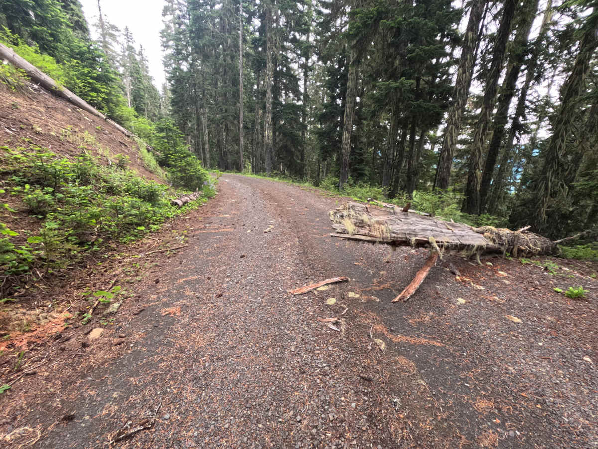 FS 9091021 trail photo