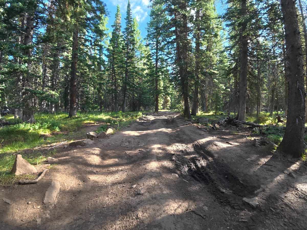 Burrow Mountain Road - FS 246 photo 5