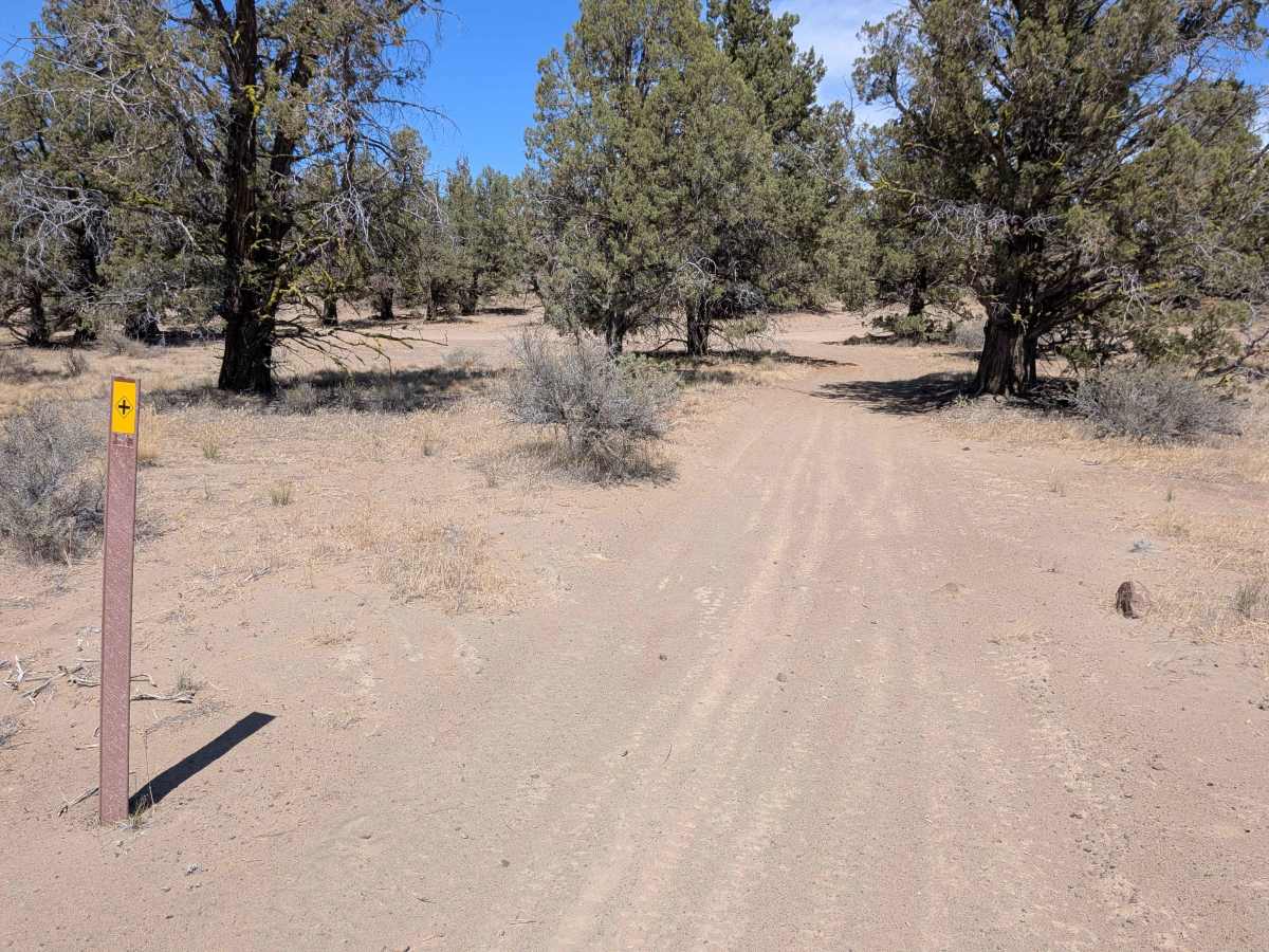 Cline Buttes Off Highway Vehicle Trail 41 photo 5