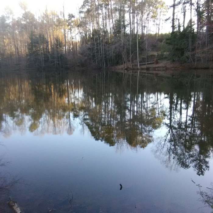 Near Strickland Park Nature Trail