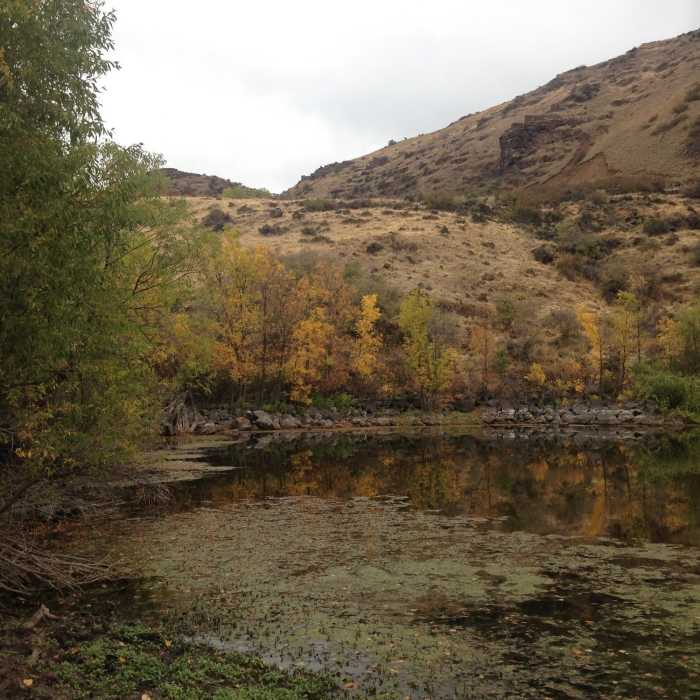 Near Chukar Butte Trail
