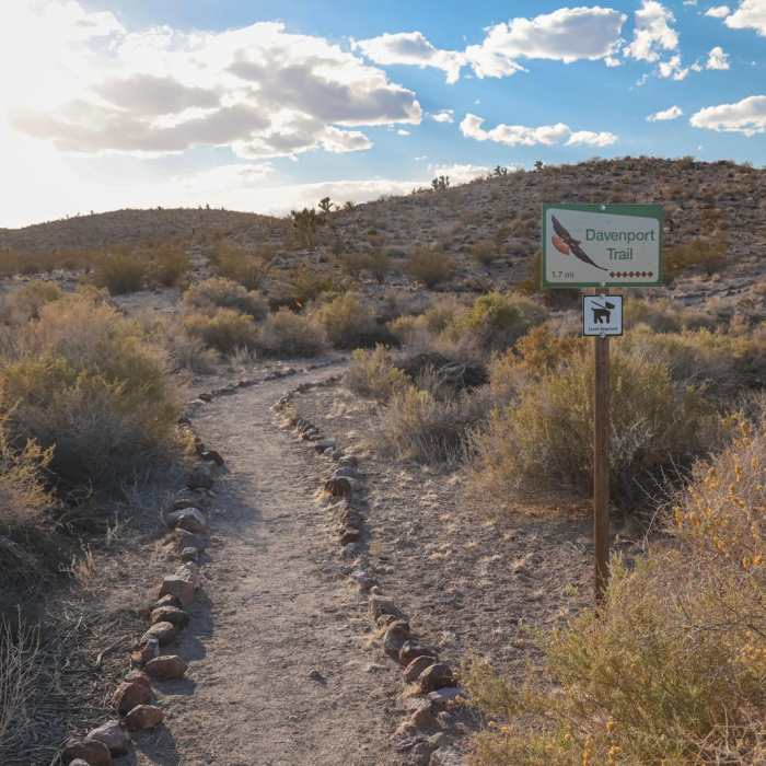 Near Waterway-Davenport Loop Near Waterway-Davenport Loop