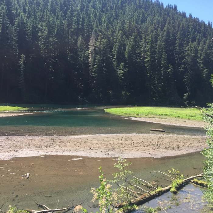 Meadow Creek along the Greenwater Trail #1177 Near Greenwater Lakes via Greenwater Trail #1177