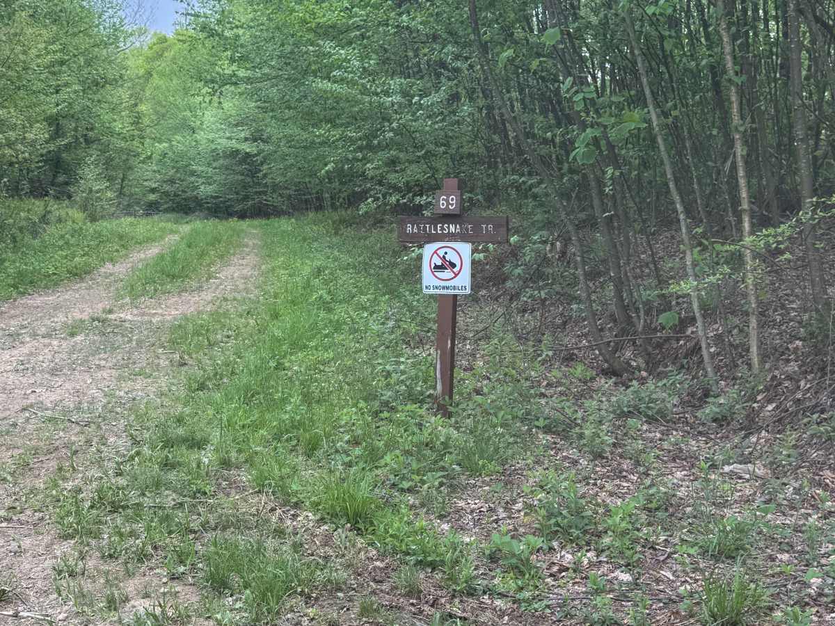 Rattlesnake Trail trail photo