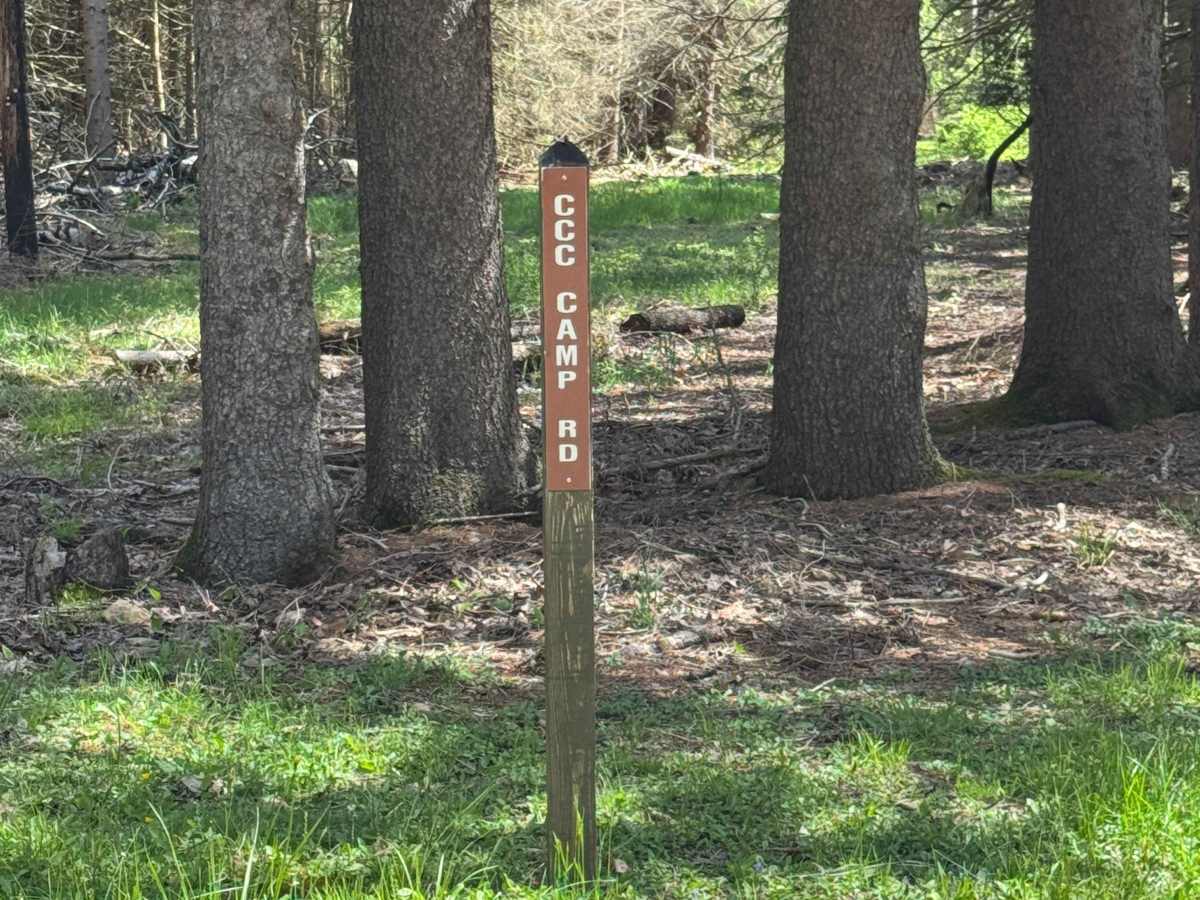 Crystal Springs Road photo 6