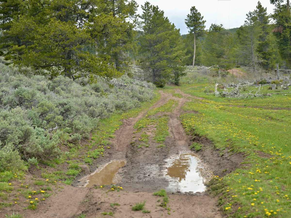 Pothole - FS 10256 photo 2