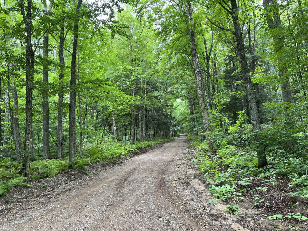 Loop Rd - FS 3903 photo 3