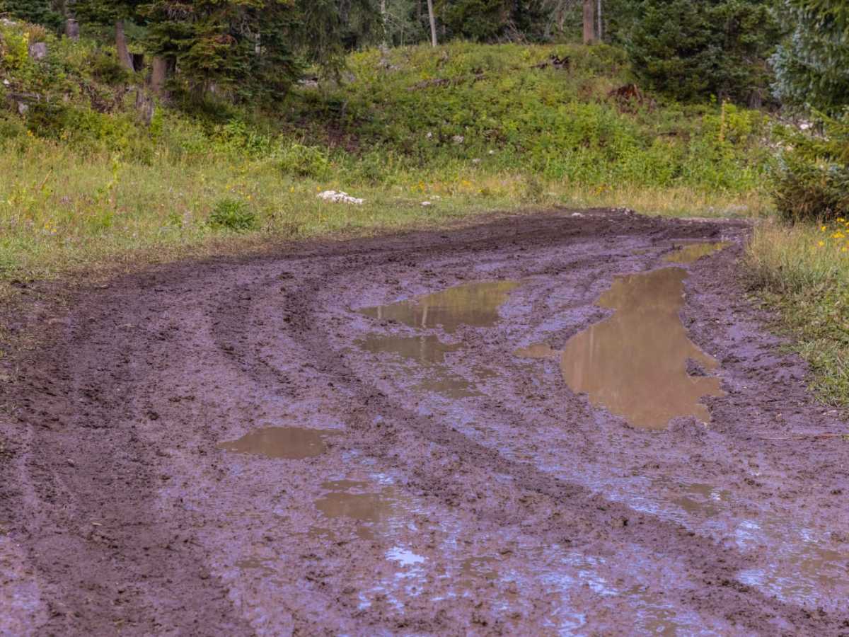 Mount Baldy Road photo 4