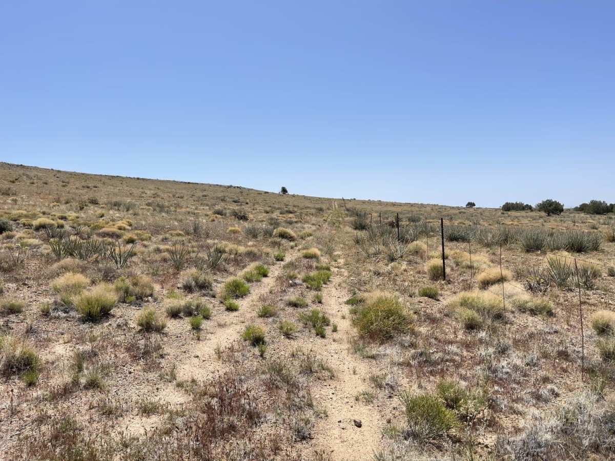 Coral Canyon trail photo