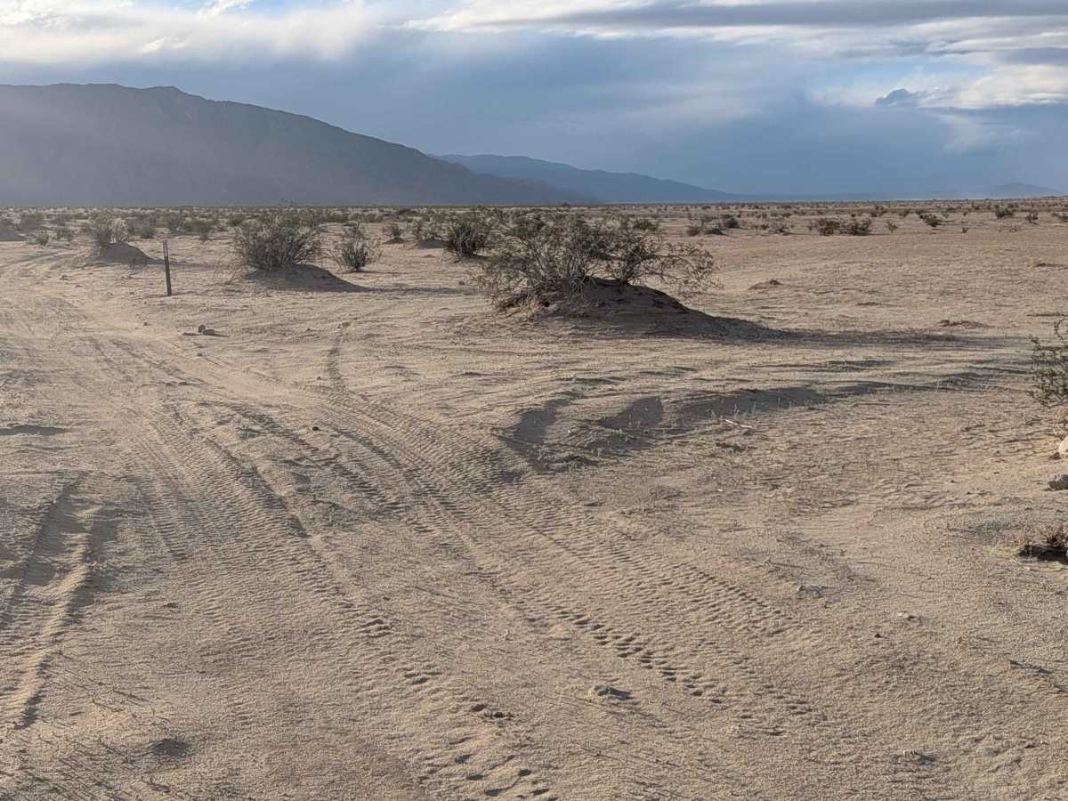 BLM 199 photo 3