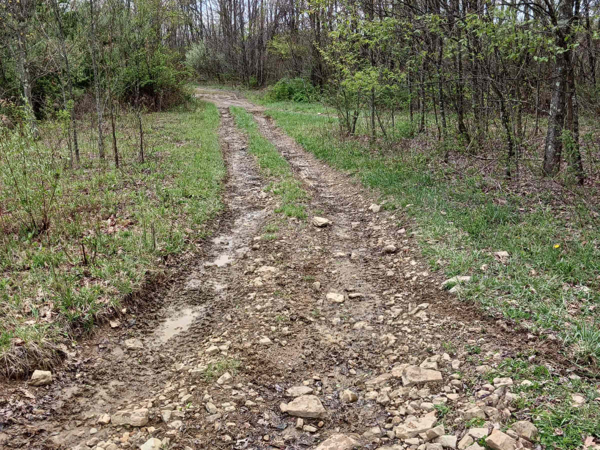 Short 3 - Rock Run Recreation Area photo 2