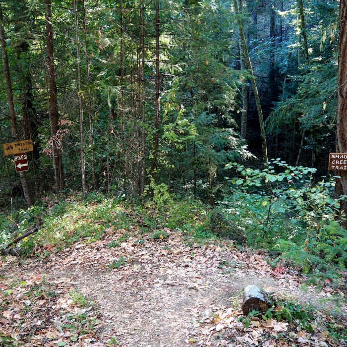 Near Legburner Trail