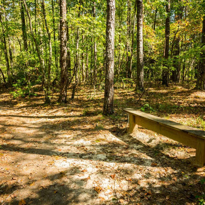 Near Natural Bridge Trail
