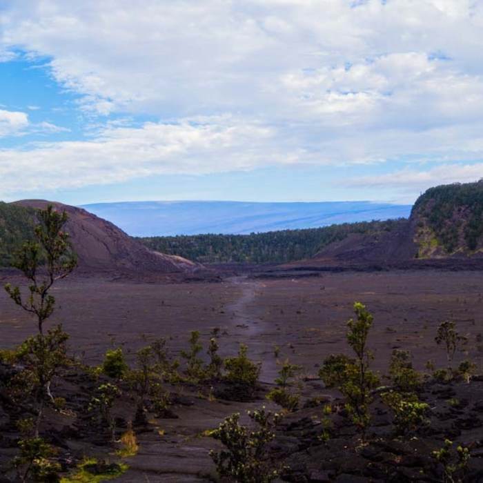 Near Kileauea Iki Trail