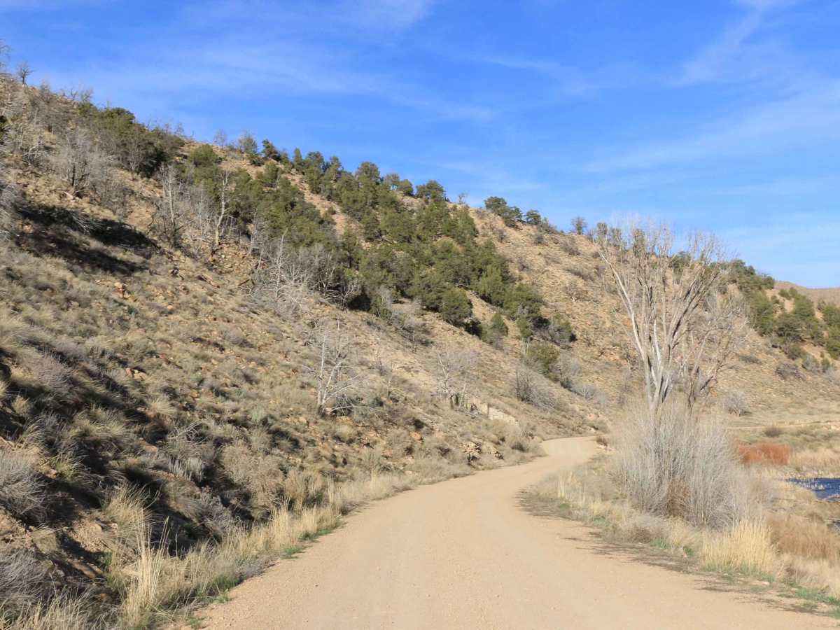 Strawberry River Road photo 5