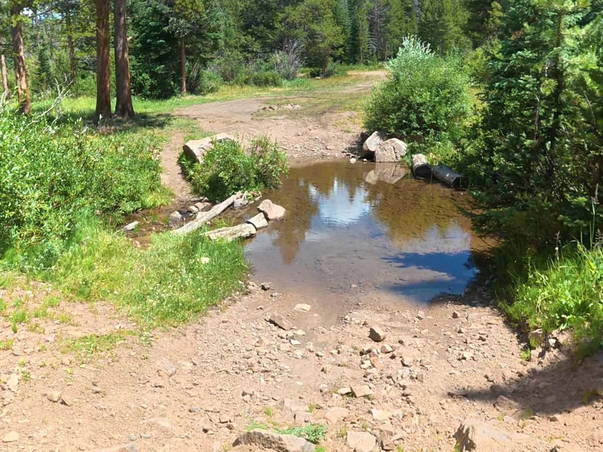 Allard Road trail photo